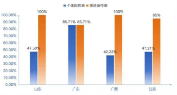 1767491175636310.png image.png