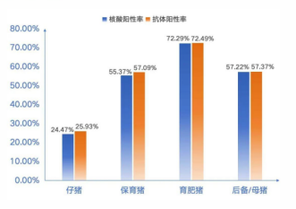 1767491211236545.png image.png