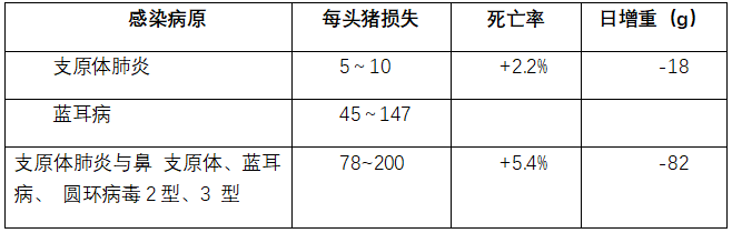 1767492221333022.png cf5ac2a5-3d93-4b22-9510-309046a55803.png