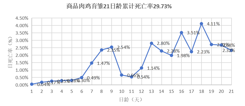 1767574786449553.png 153c040430bd4c57e94b24029813e38f.png