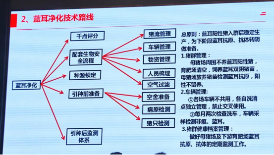 1767600183140386.png image.png